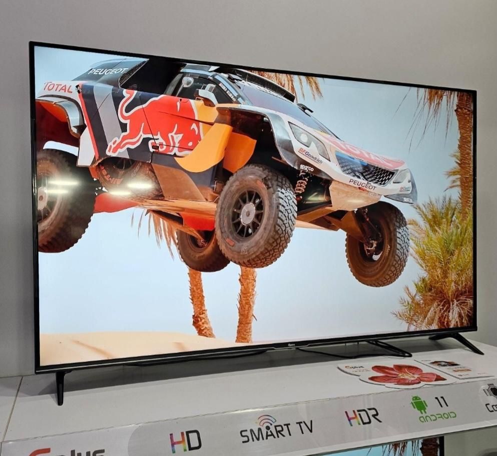 تلویوزیون نکسار|تلویزیون و پروژکتور|بوشهر, |دیوار