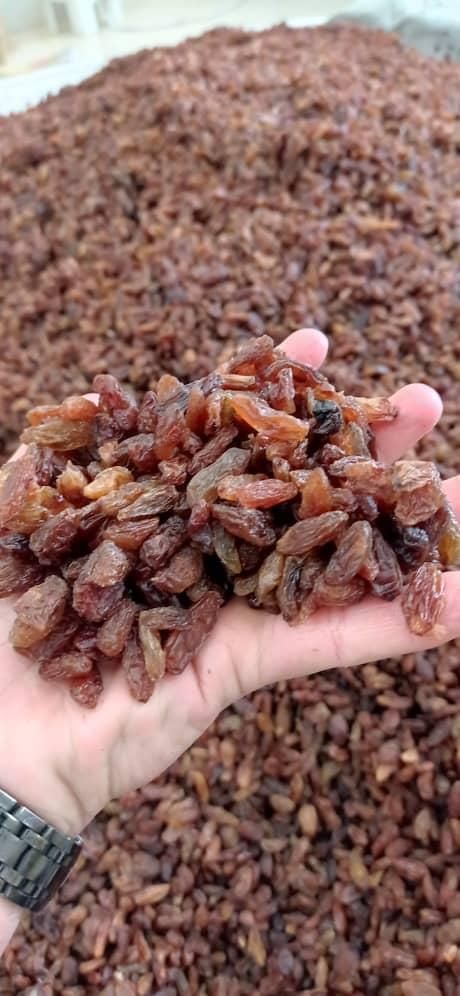 فروش کشمش خوراکی و آبگیری|خوردنی و آشامیدنی|کرمان, |دیوار