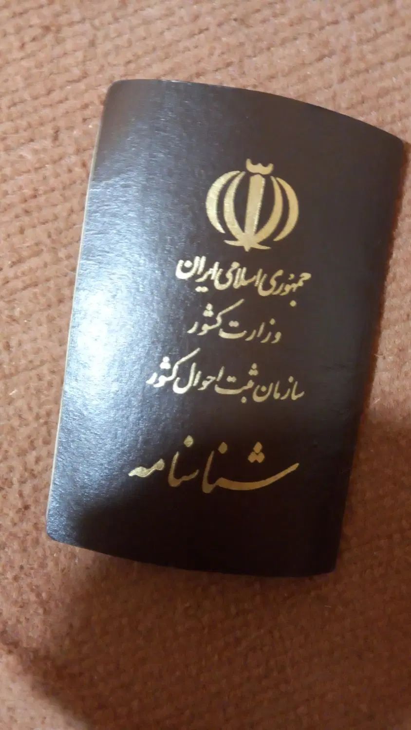 یک عدد شناسنامه به اسم وحید پناهی گم کردم|اشیا|دورود, |دیوار