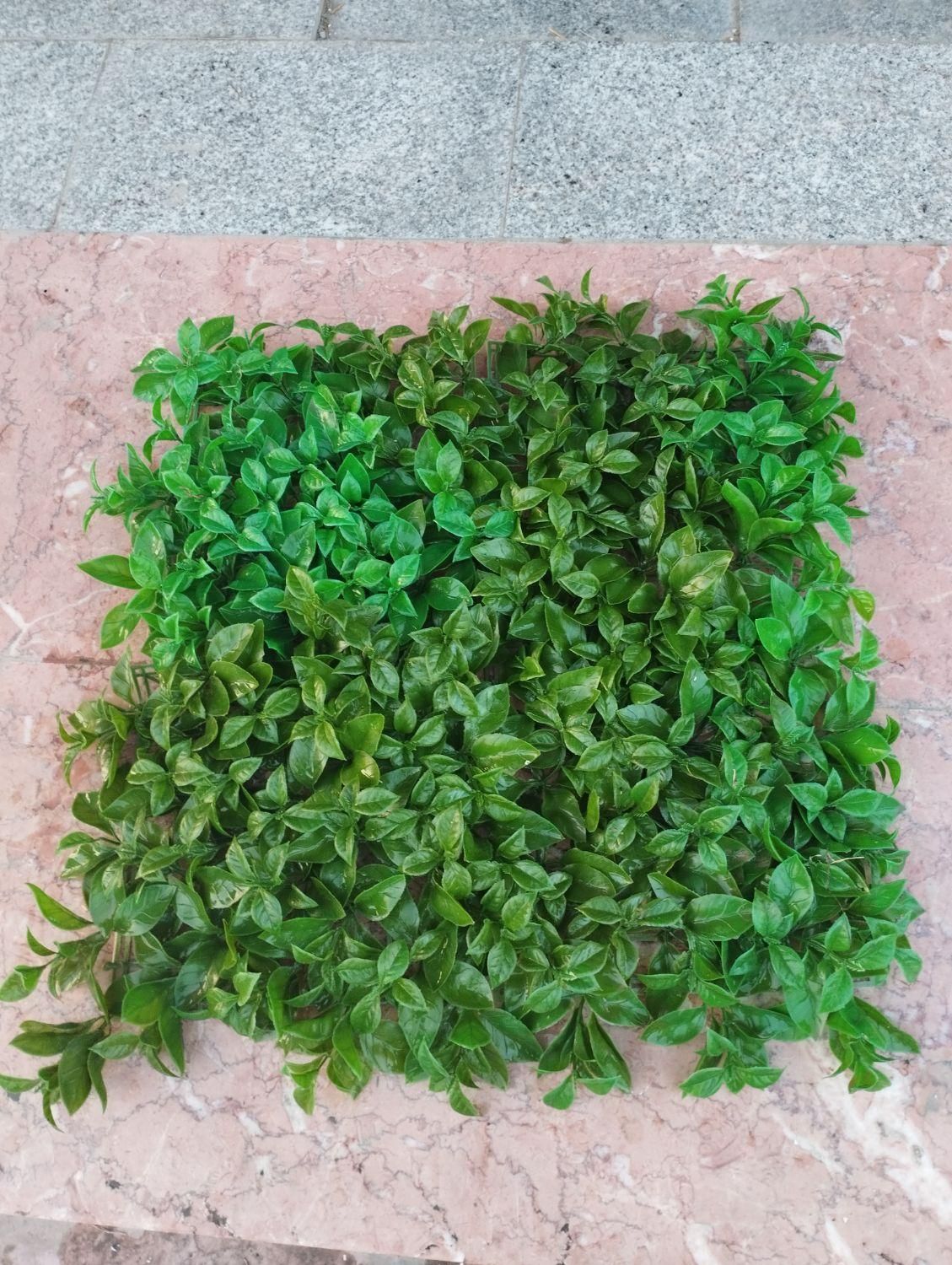 گرین وال|گل مصنوعی|گنبد کاووس, |دیوار