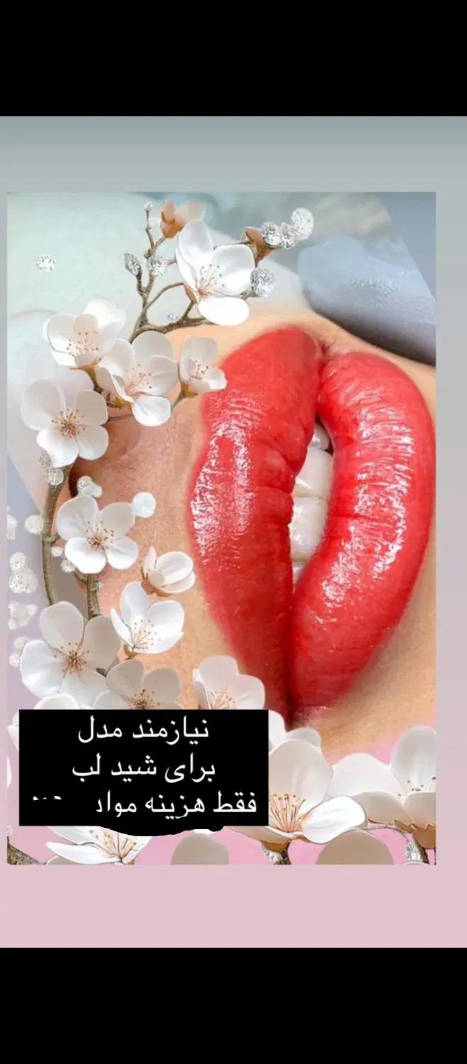 تخفیف ویژه شید لب و میکرو ابرو برای ده نفر|خدمات آرایشگری و زیبایی|قشم, |دیوار