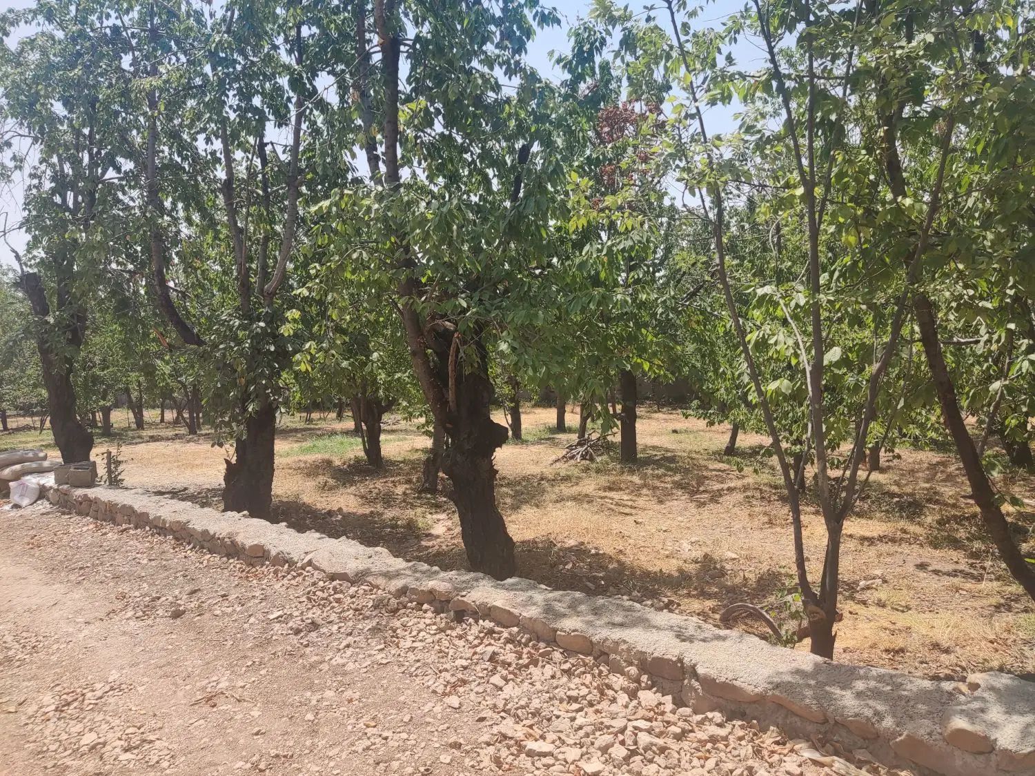 زمین ۳۵۰ متری در تاپ لوکیشن روستای ییلاقی فشند|فروش زمین و ملک کلنگی|هشتگرد, فشند|دیوار