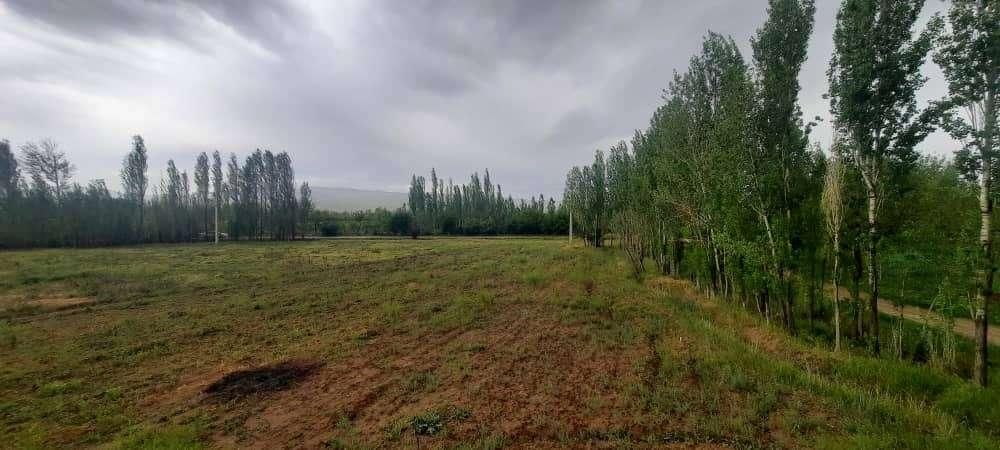 زمین بر جاده اصلی منطقه توریستی داسداران|فروش زمین و ملک کلنگی|خرمدره, |دیوار