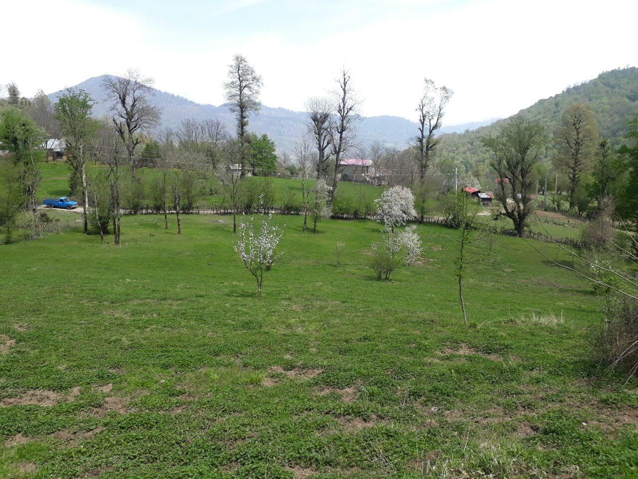 زمین ییلاقی ۴۲۰۰متر رضوانشهر|فروش زمین و ملک کلنگی|رضوانشهر, |دیوار