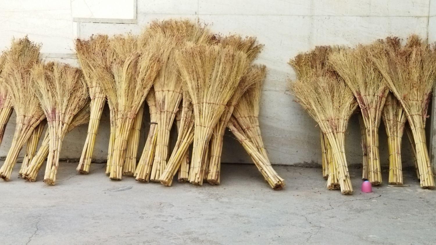 جارو محلی در کوهنانی|جاروبرقی، جارو شارژی، بخارشو|کوهدشت, |دیوار
