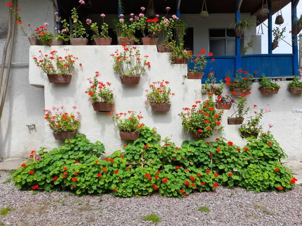 ویلاروستایی استخردار آبگرم سرپوشیده دربست|اجارهٔ کوتاه‌مدت ویلا و باغ|لاهیجان, لیالستان|دیوار