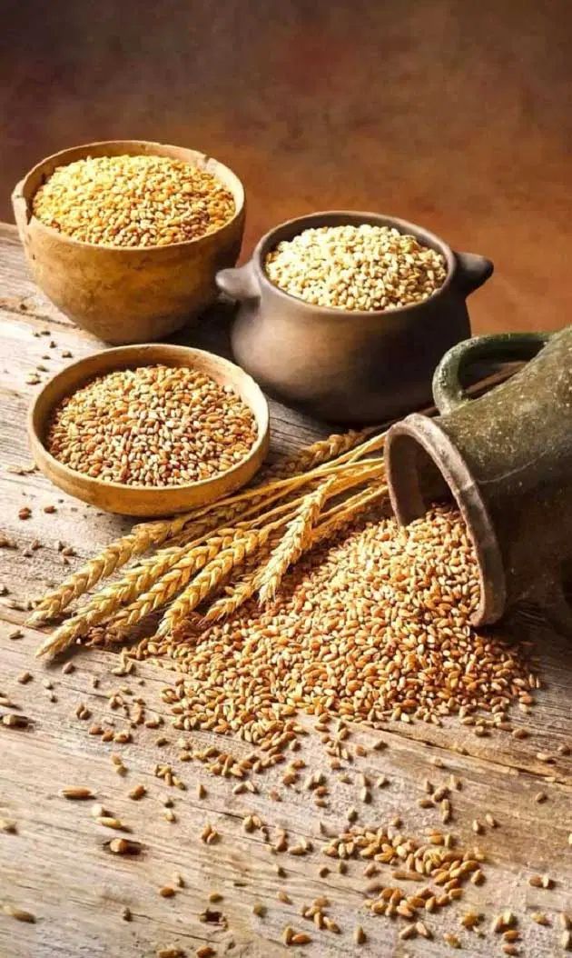شرکت دشت گلروئیه|خوردنی و آشامیدنی|تهران, تجریش|دیوار
