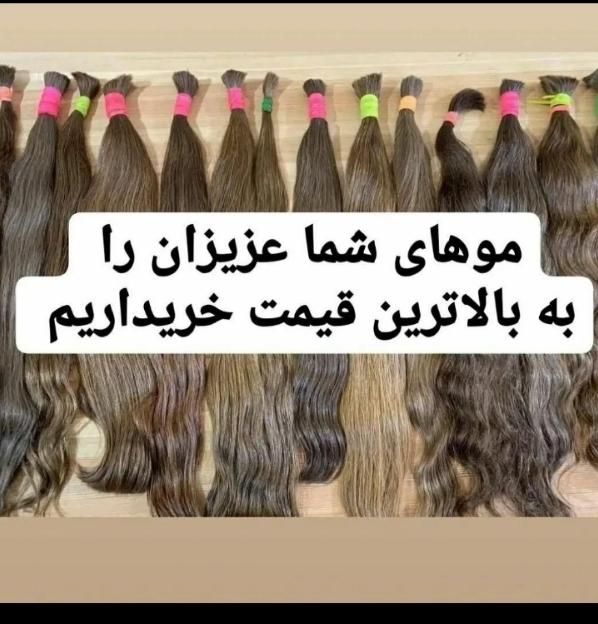 خریدارموی طبیعی صادراتی قیمت عالی برای موهای عالی|خدمات آرایشگری و زیبایی|مراغه, |دیوار