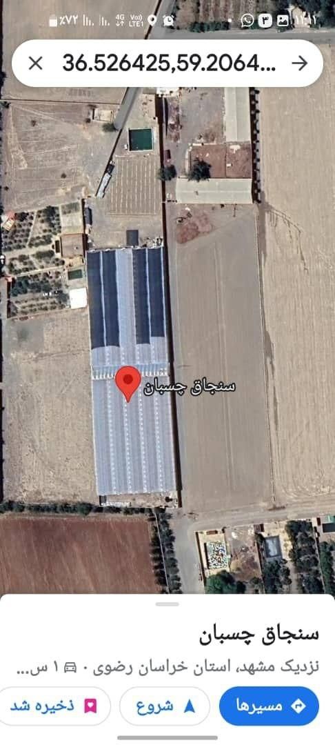 گلخانه هیدروپونیک جاده گلمکان|فروش دفتر صنعتی، کشاورزی، تجاری|مشهد, احمدآباد|دیوار