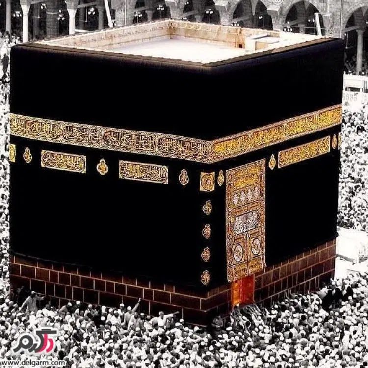 فروش فیش حج عمره|تور و چارتر|تهران, بروجردی|دیوار