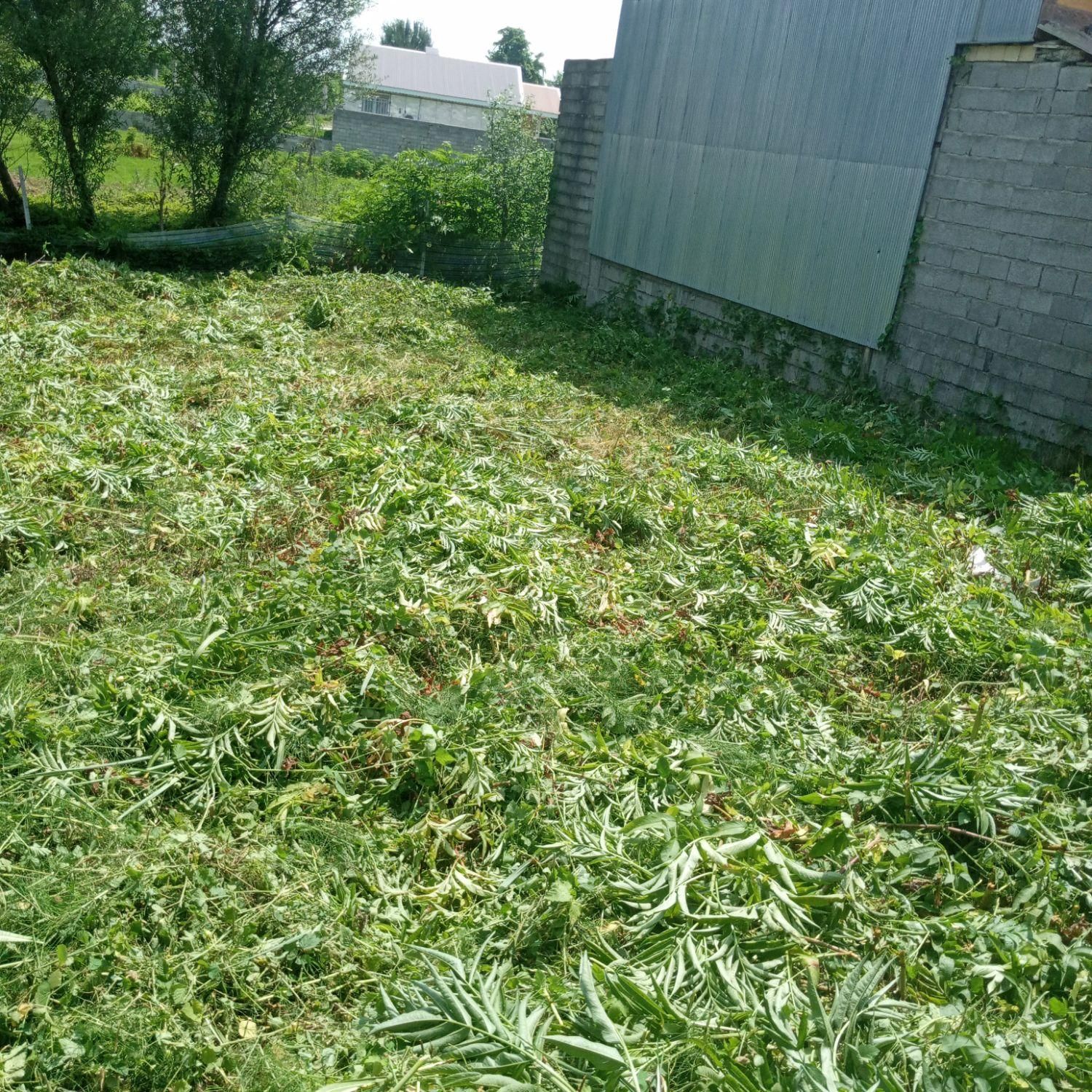 علف زنی با دستگاه|خدمات باغبانی و درختکاری|رشت, پل تالشان|دیوار