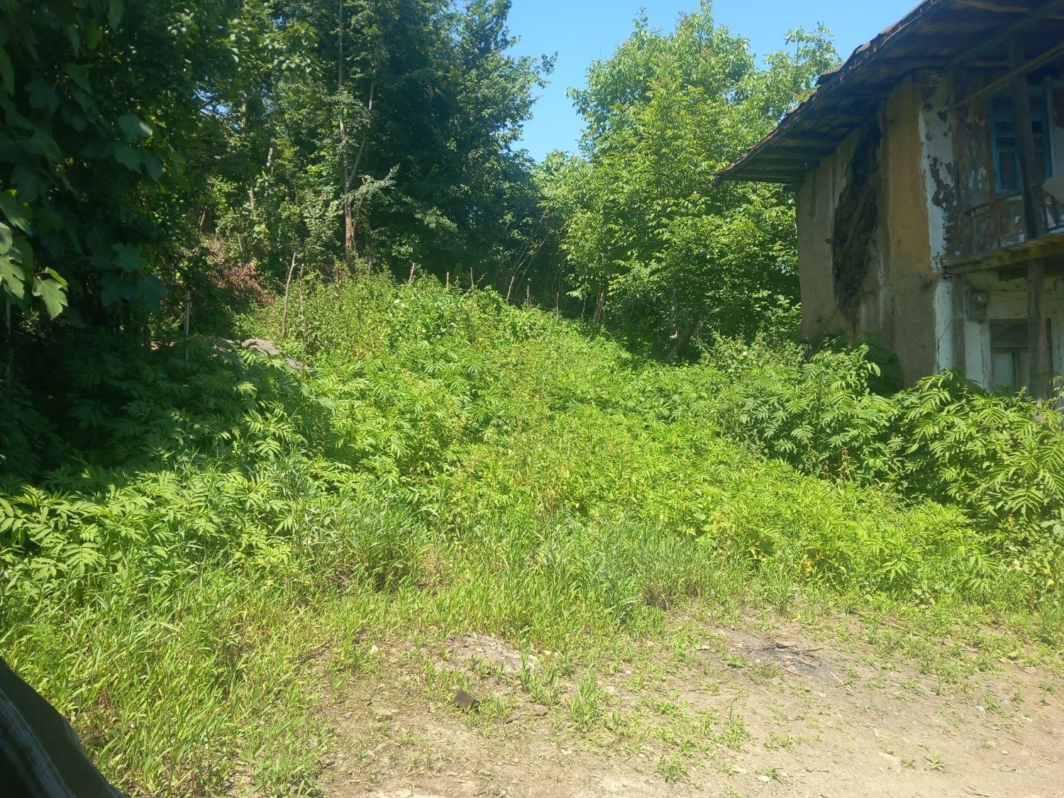 فروش خانه سنتی با ۴۰۰متر محوطه|فروش خانه و ویلا|اطاقور, |دیوار