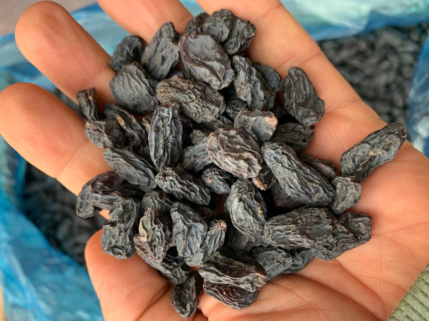 پخش عمده کشمش و مویز ( ارمی )|عمده‌فروشی|شیراز, ستارخان|دیوار