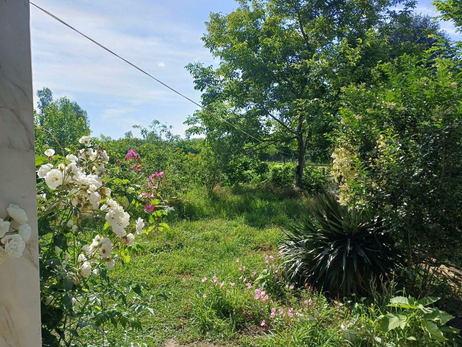 اجاره ویلاباغ دوخواب حیاط بزرگ دربست باامکانات|اجارهٔ کوتاهمدت ویلا و باغ|ماسال, |دیوار