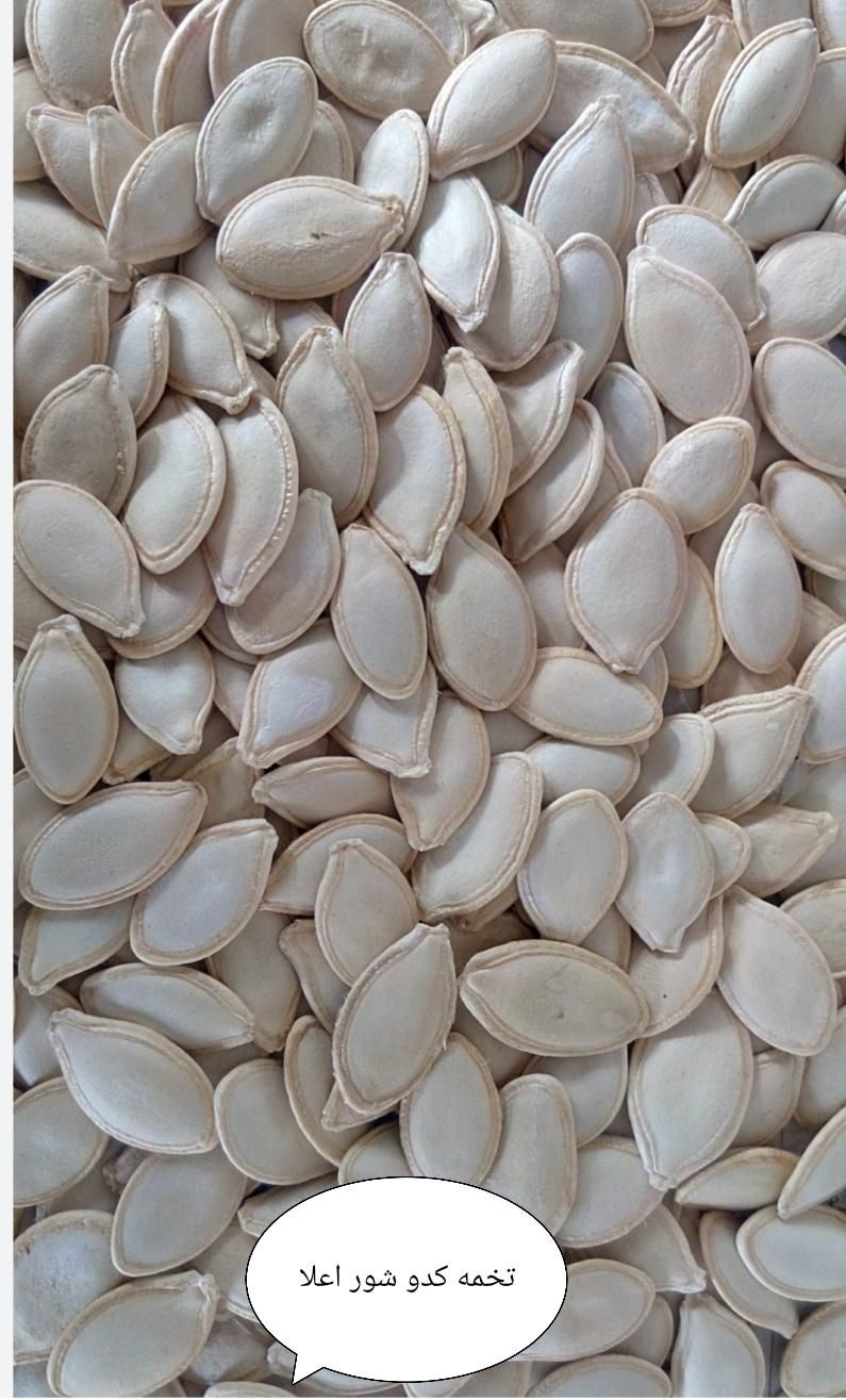 فروش تخمه بصورت جز و عمده|خوردنی و آشامیدنی|رشت, فرزانه|دیوار