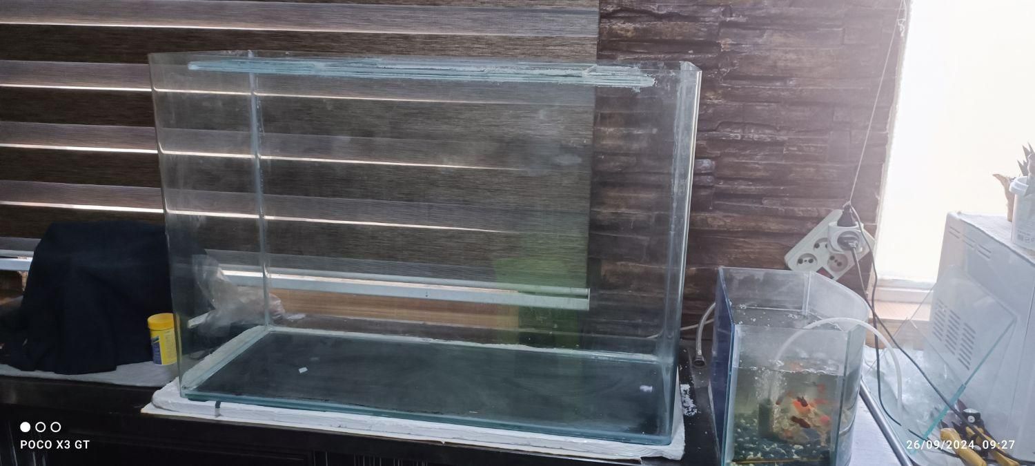 آکواریوم شیشه. خم|ماهی|اسلام‌شهر, شهرک الهیه|دیوار