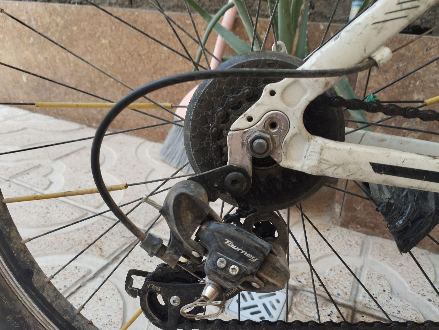 دوچرخه 26تنه آلمینیوم|دوچرخه، اسکیت، اسکوتر|رباط‌کریم, رباط‌کریم|دیوار