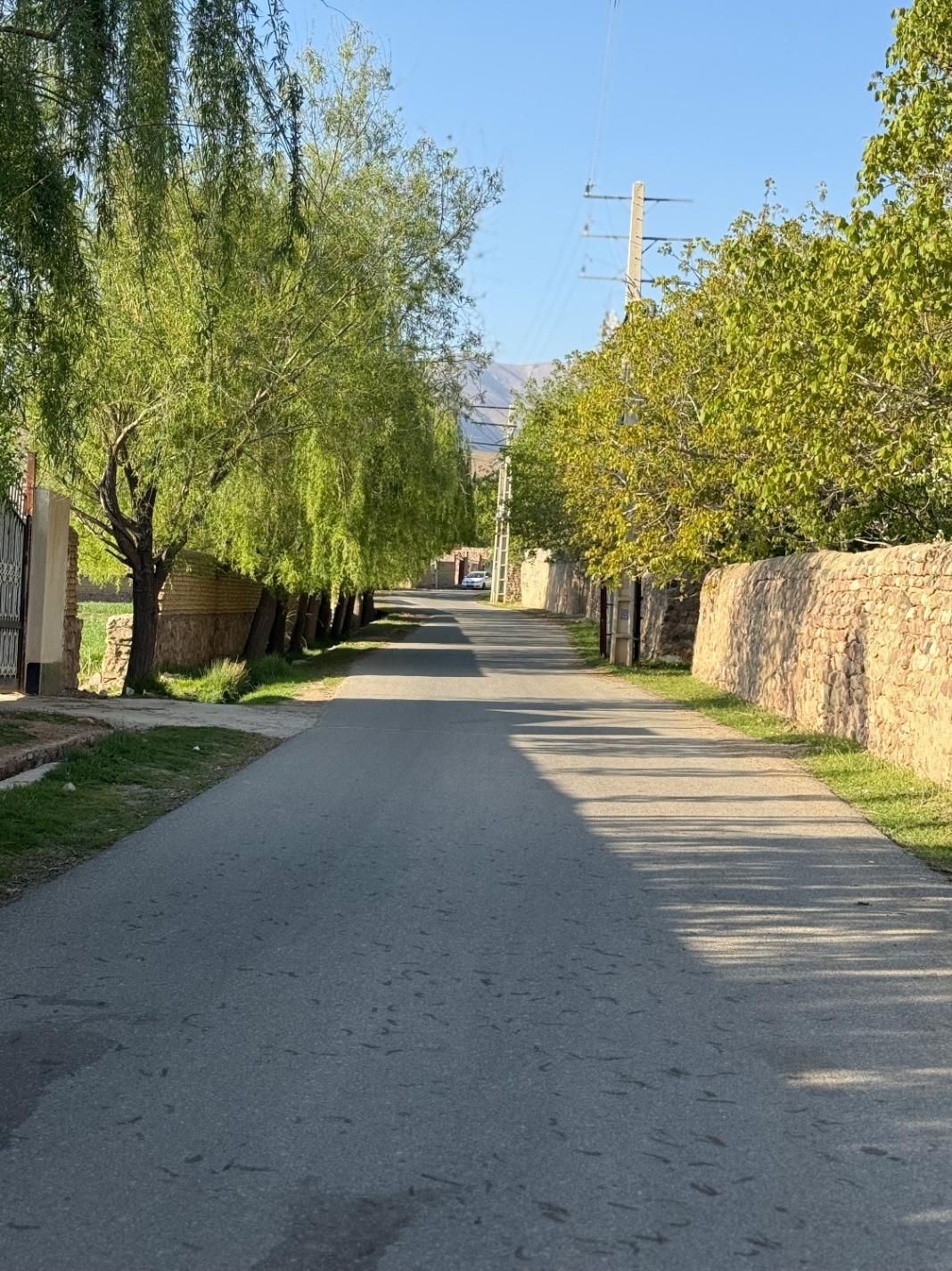 زمین ویلایی فشندکوهپایه (عالیچنار)هشتگرد|فروش زمین و ملک کلنگی|هشتگرد, فشند|دیوار