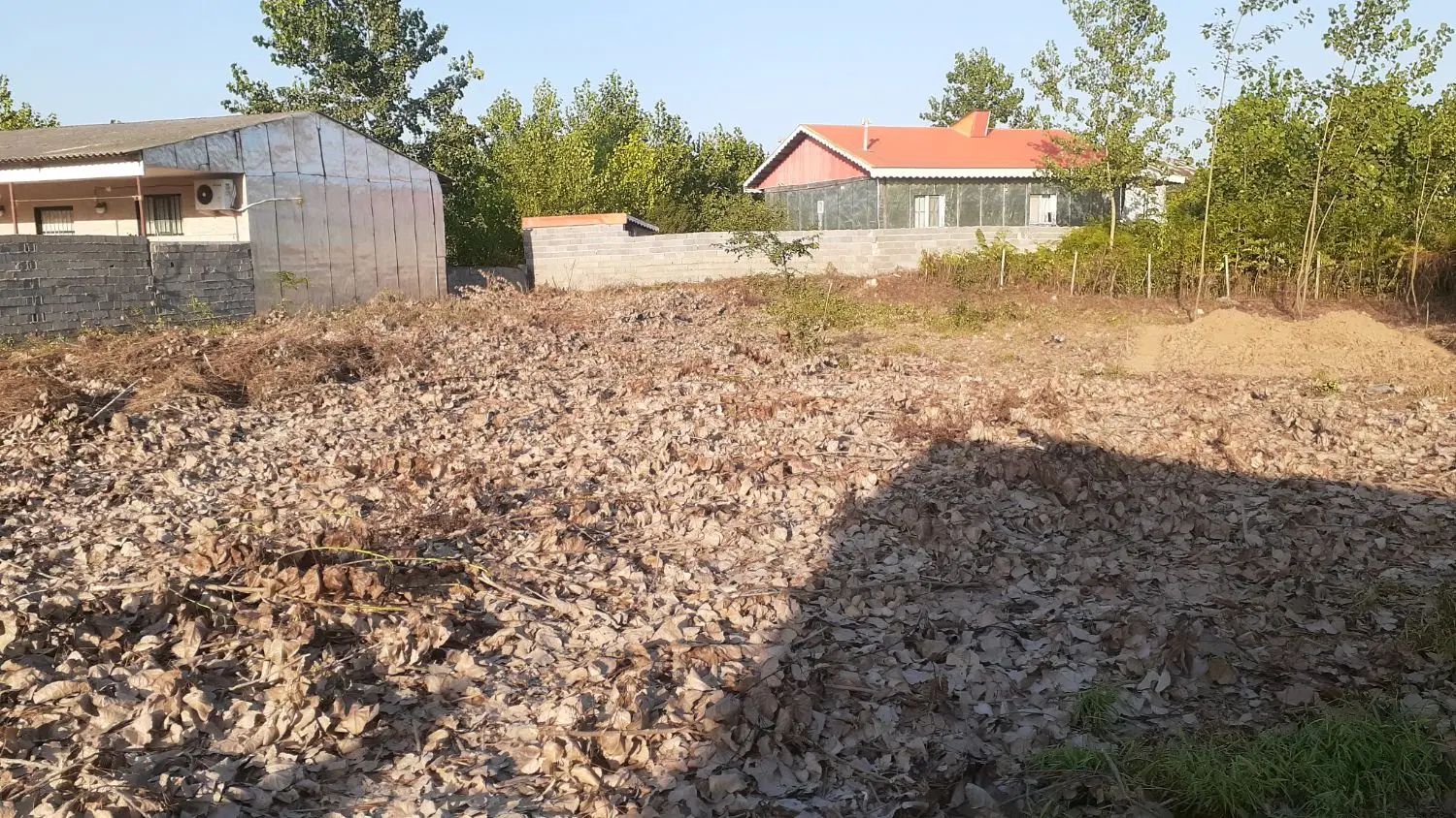 فروش ۲ قطعه زمین ۲۵۰ متری در روستای بودیان|فروش زمین و ملک کلنگی|تولم شهر, |دیوار