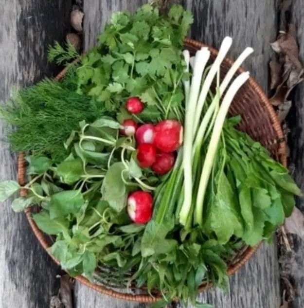 سبزی فروش|فعالیت داوطلبانه|تهران, تهرانسر غربی|دیوار