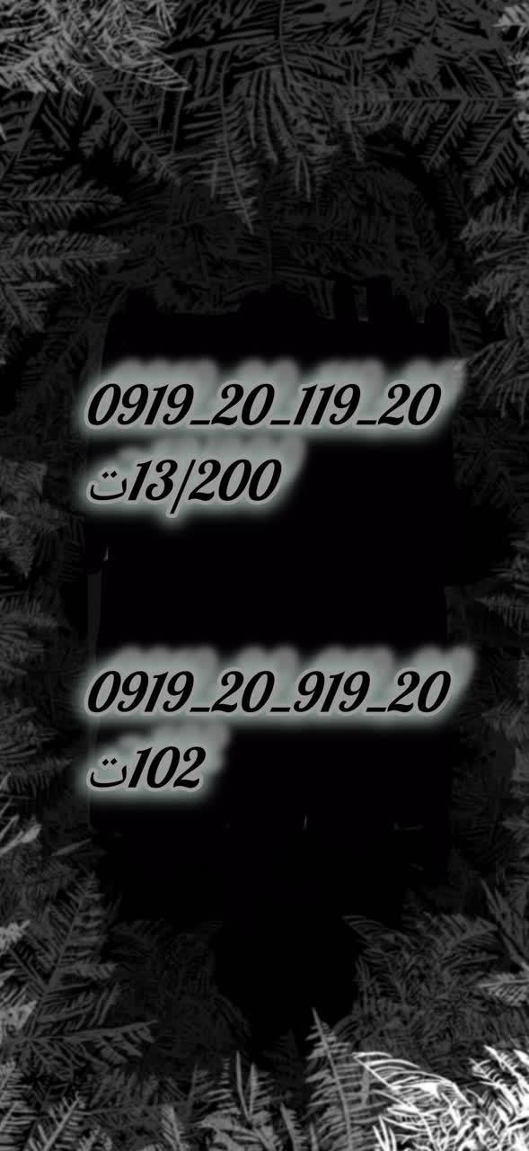 0919-110-40-30|سیم‌کارت|قم, شاه ابراهیم|دیوار