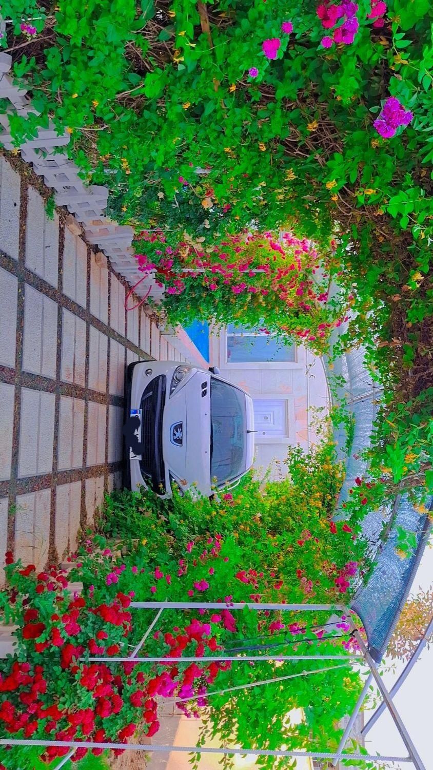 تصویر 19