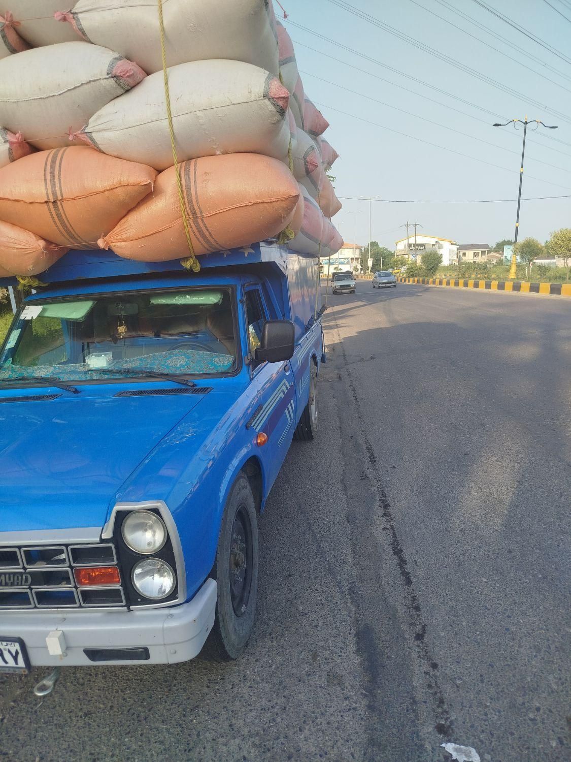 فروش کاه|خدمات باغبانی و درختکاری|کاشان, شهدا|دیوار