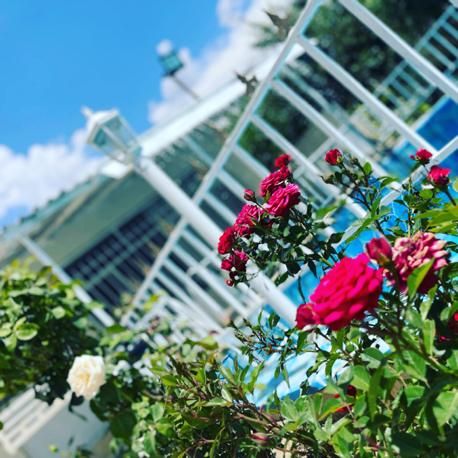 اجاره روزانه/هفتگی/ماهانه ویلا ۲۰۰۰ متری|اجارهٔ کوتاهمدت ویلا و باغ|سقز, |دیوار