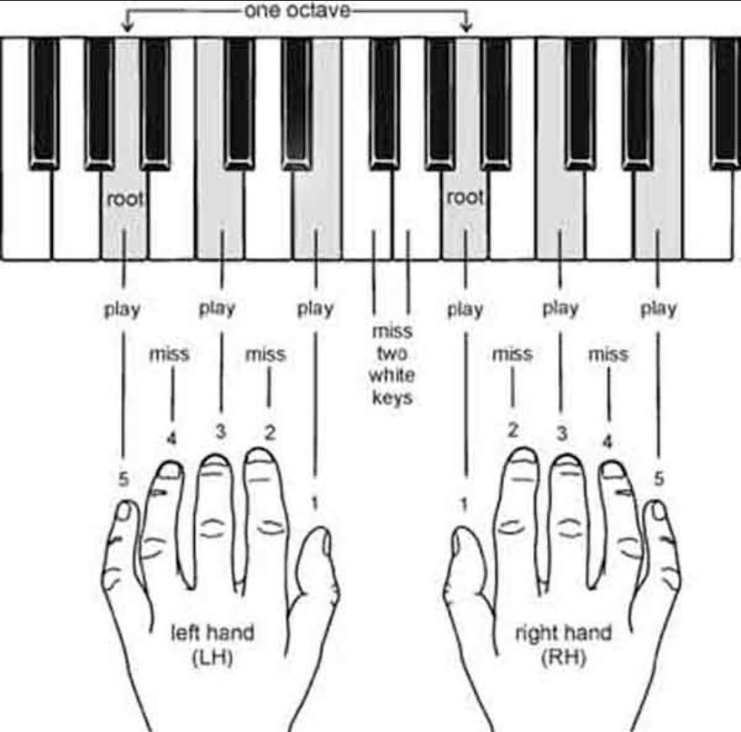 آموزش ارگ پیانوبلز و آواز آنلاین وحضوری|خدمات آموزشی|شیراز, درکی|دیوار