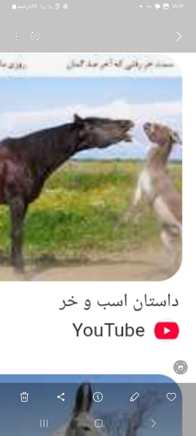 اسب و خر پیدا شد با دادن نشانی ان را تحویل بگیرید|حیوانات|قوچان, |دیوار