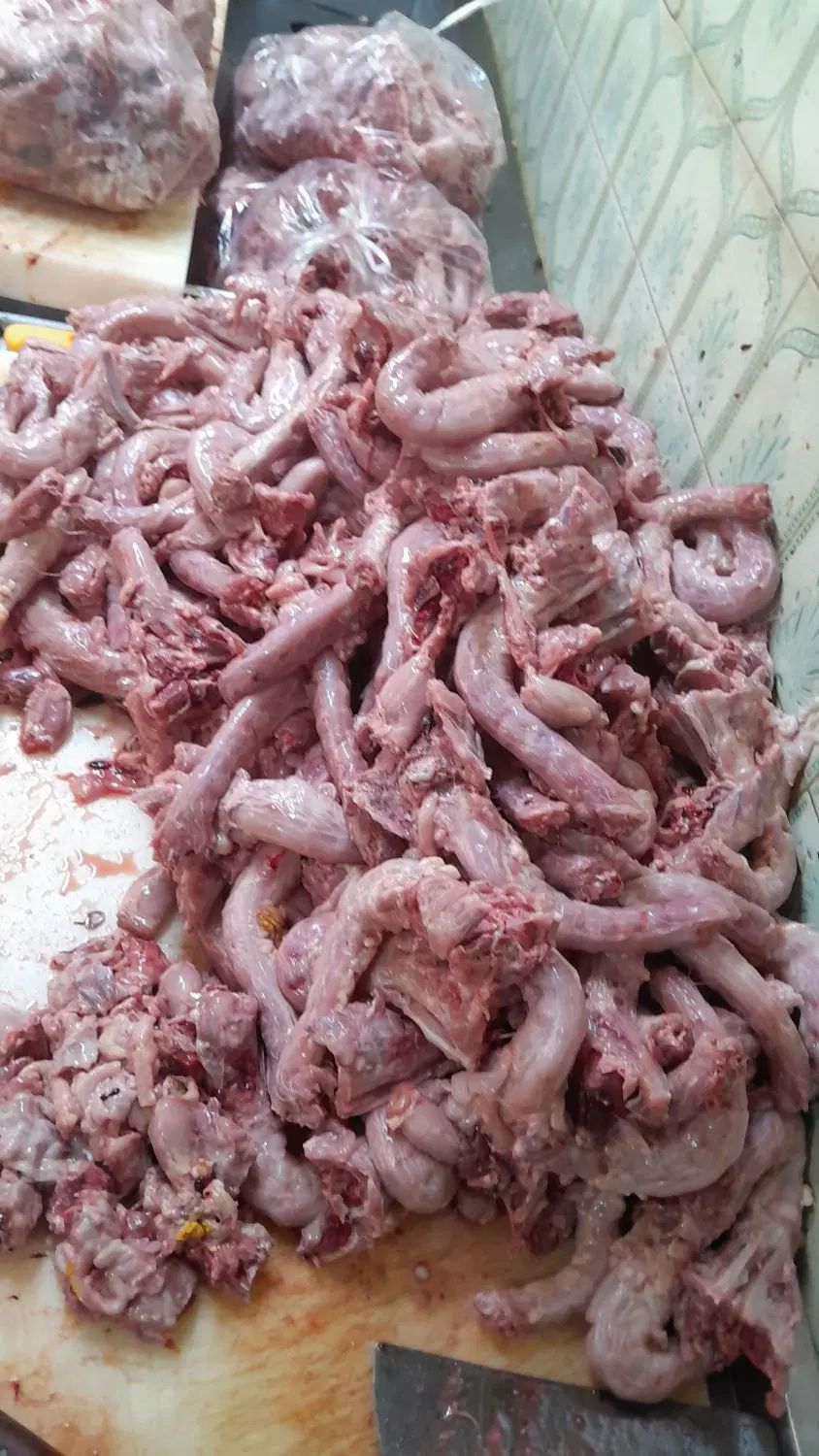 اسکلت ،گردن ، اسکلت کعب ران و گردن اسکلت چرخ شده|خوردنی و آشامیدنی|تهران, شمیران‌نو|دیوار