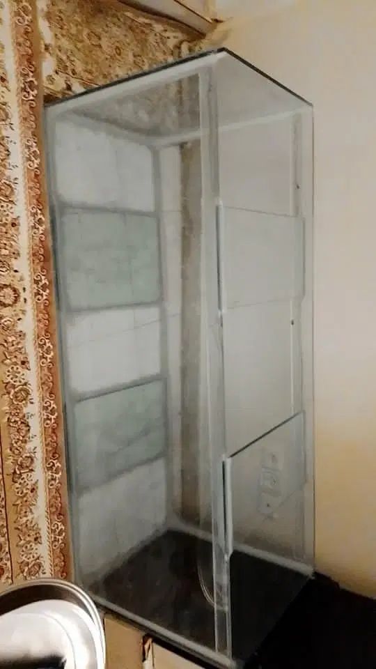 اکواریوم|ماهی|کرج, برغان|دیوار