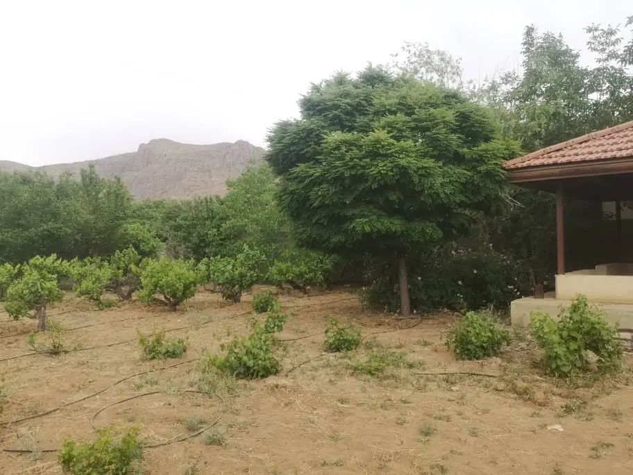 فروش باغ شهری بابهترین لوکیشن واقع در کلستان|فروش زمین و ملک کلنگی|شیراز, گلستان|دیوار