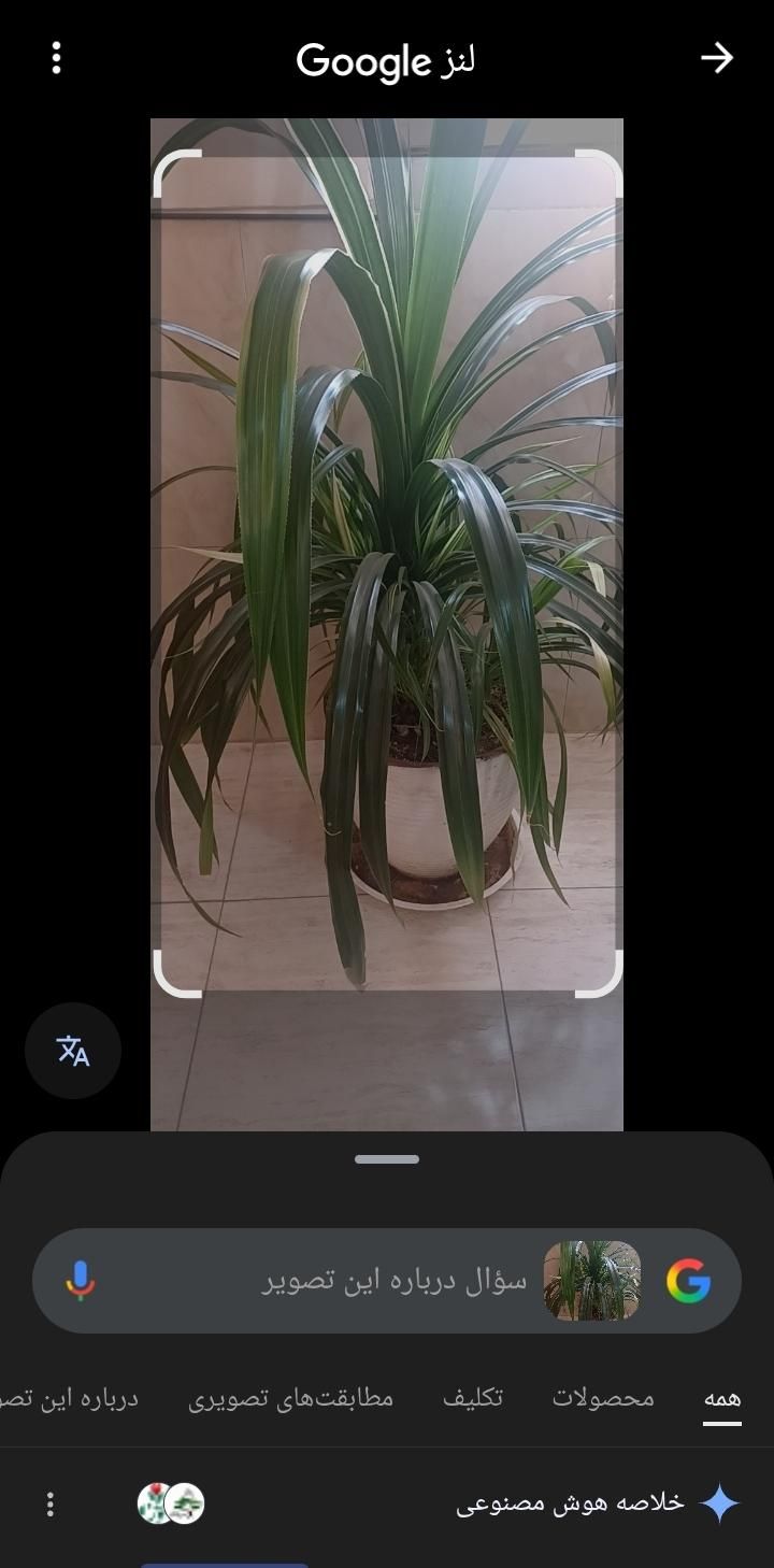 null