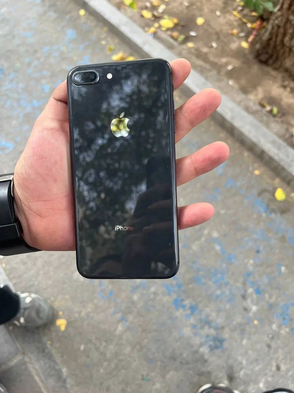 iphone 8 plus 256|موبایل|مشهد, هفت تیر (حافظ)|دیوار