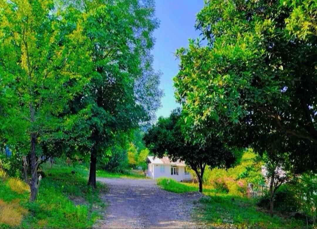 اجاره خونه باغ دربستی دوهزار متر حیاط|اجارهٔ کوتاهمدت ویلا و باغ|آستارا, |دیوار