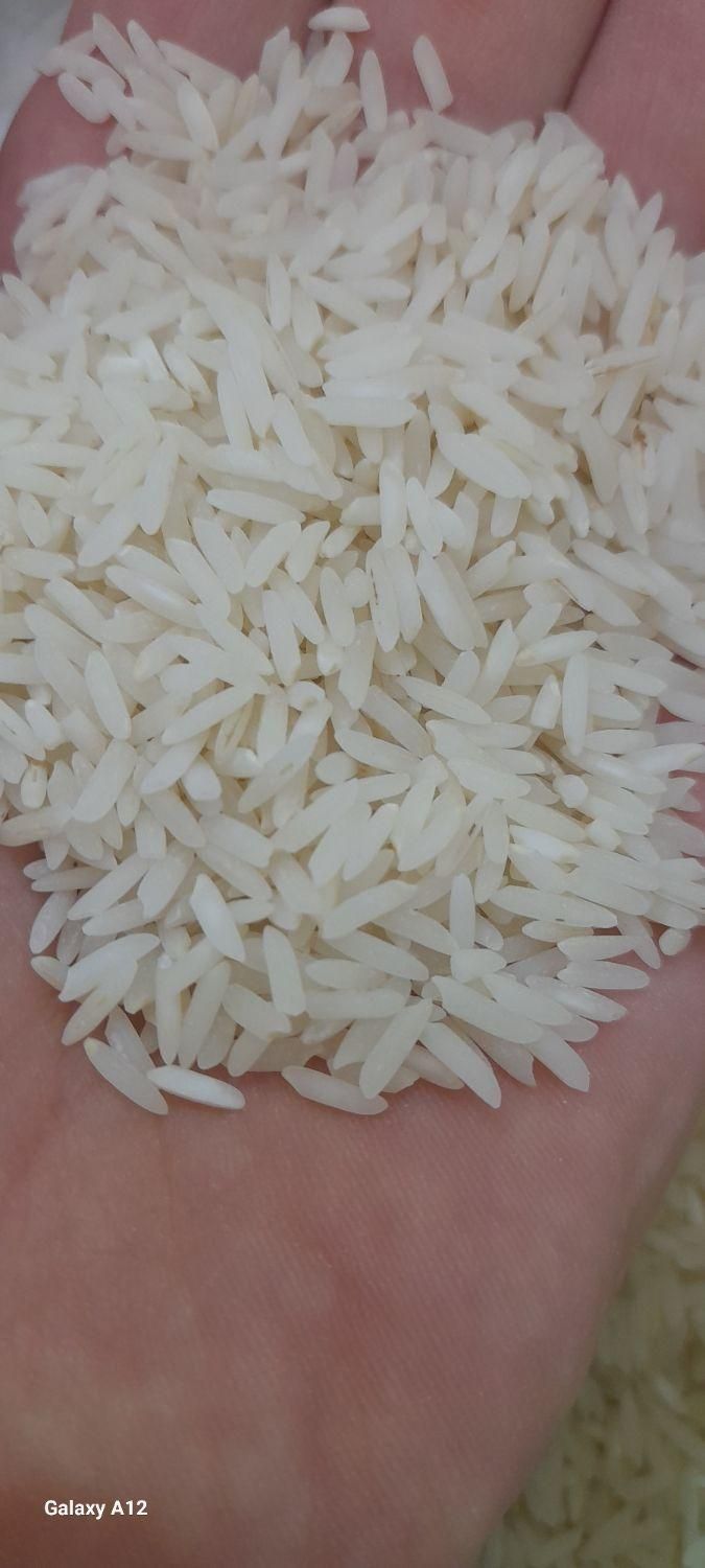 برنج طارم هاشمی معطر عرضه مستقیم انواع برنج ایرانی|خوردنی و آشامیدنی|اصفهان, رزمندگان|دیوار