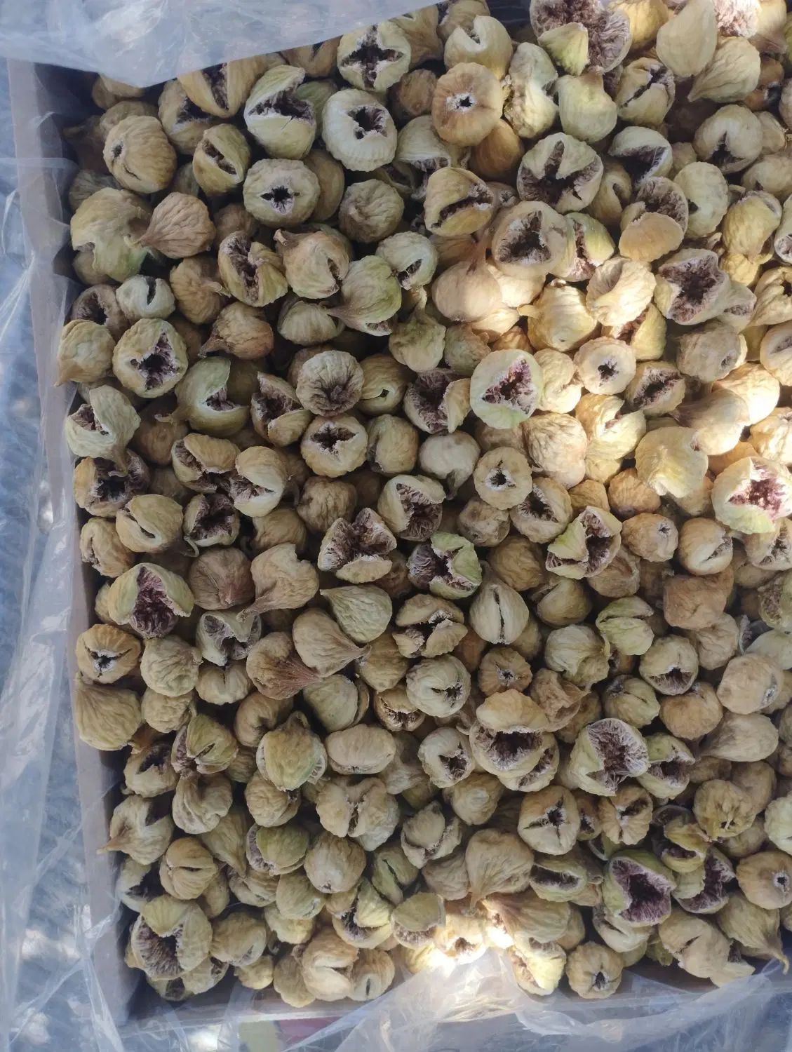 خریدو فروش انجیر و ارسال رایگان به سراسر کشور|خوردنی و آشامیدنی|شیراز, گل سرخ|دیوار