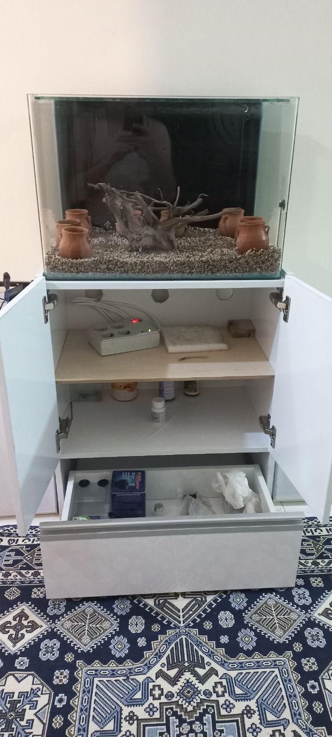 آکواریوم و میز|ماهی|پردیس, فاز ۲|دیوار