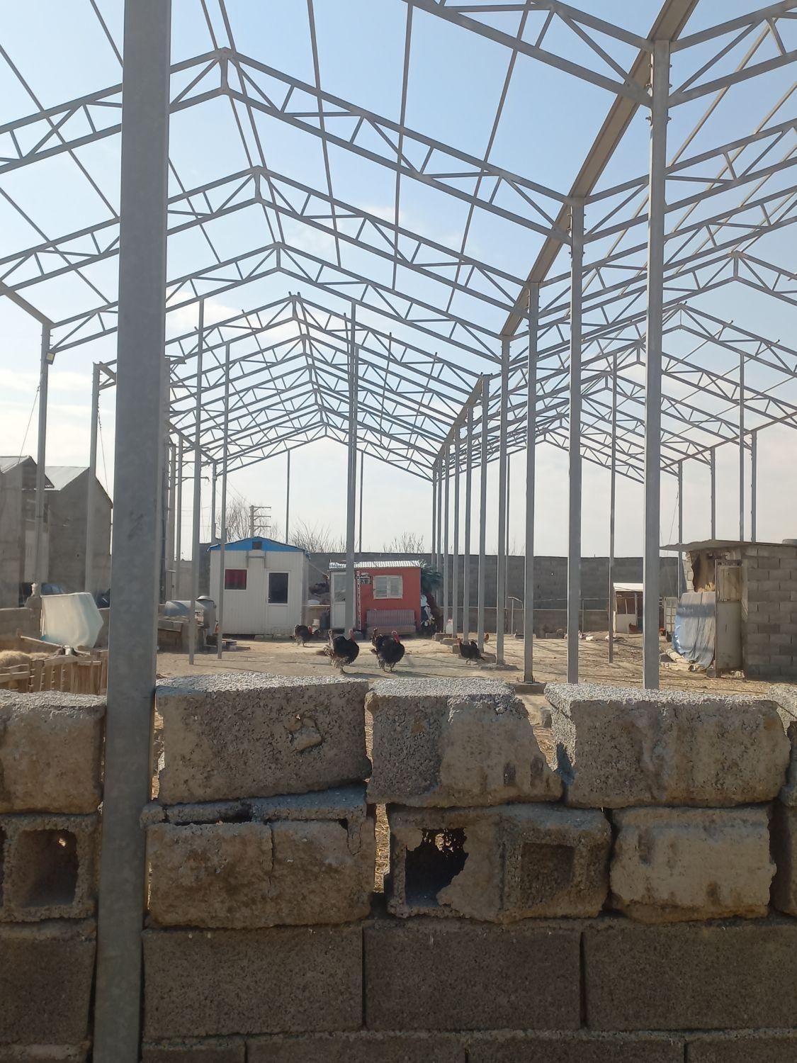 فروش ۸۵۰ متری سوله سندتک برگ|فروش دفتر صنعتی، کشاورزی، تجاری|باغستان, |دیوار