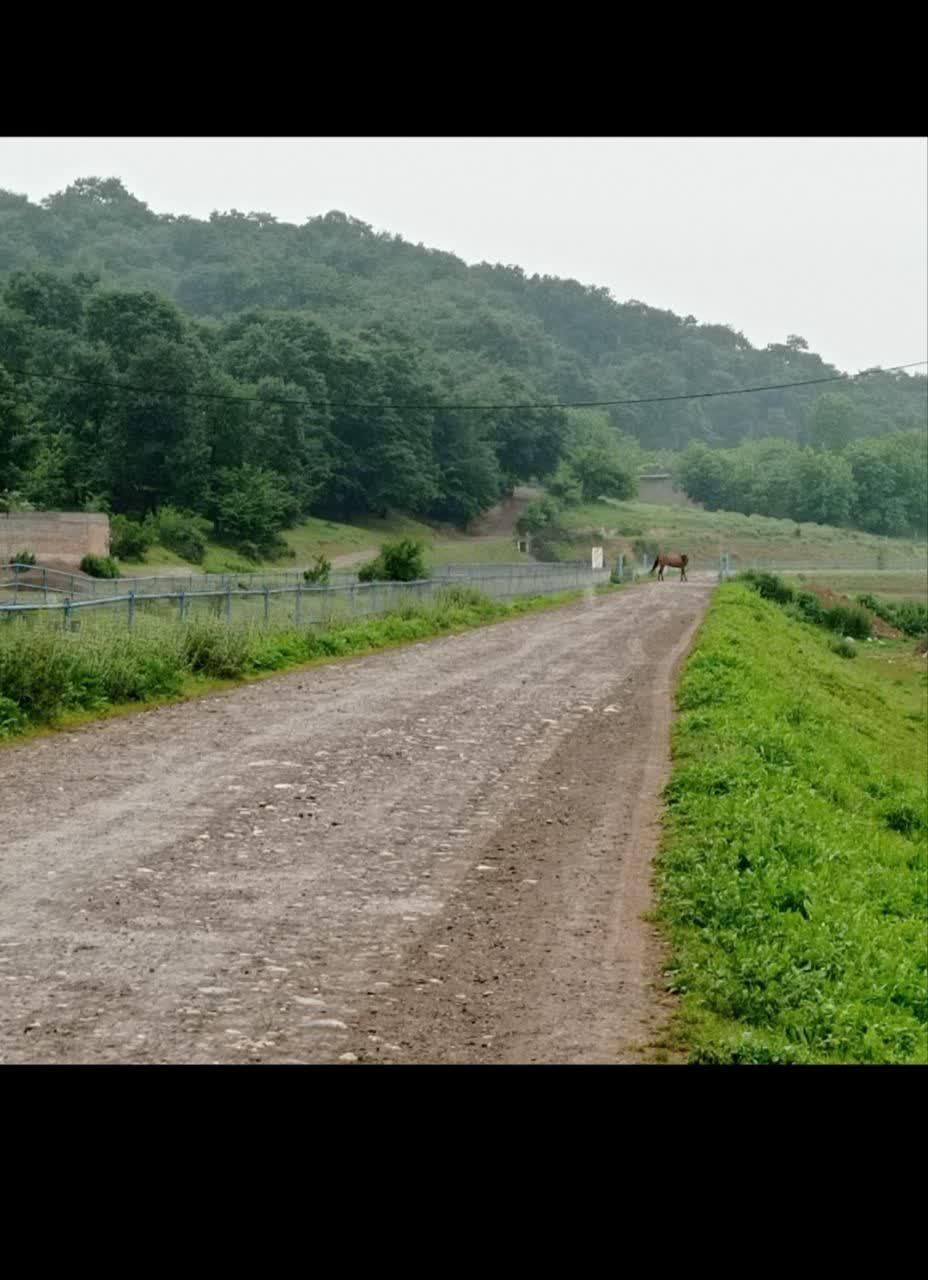 سوییت اجارهای کوتاه مدت|اجارهٔ کوتاه‌مدت آپارتمان و سوئیت|علی‌آباد کتول, |دیوار