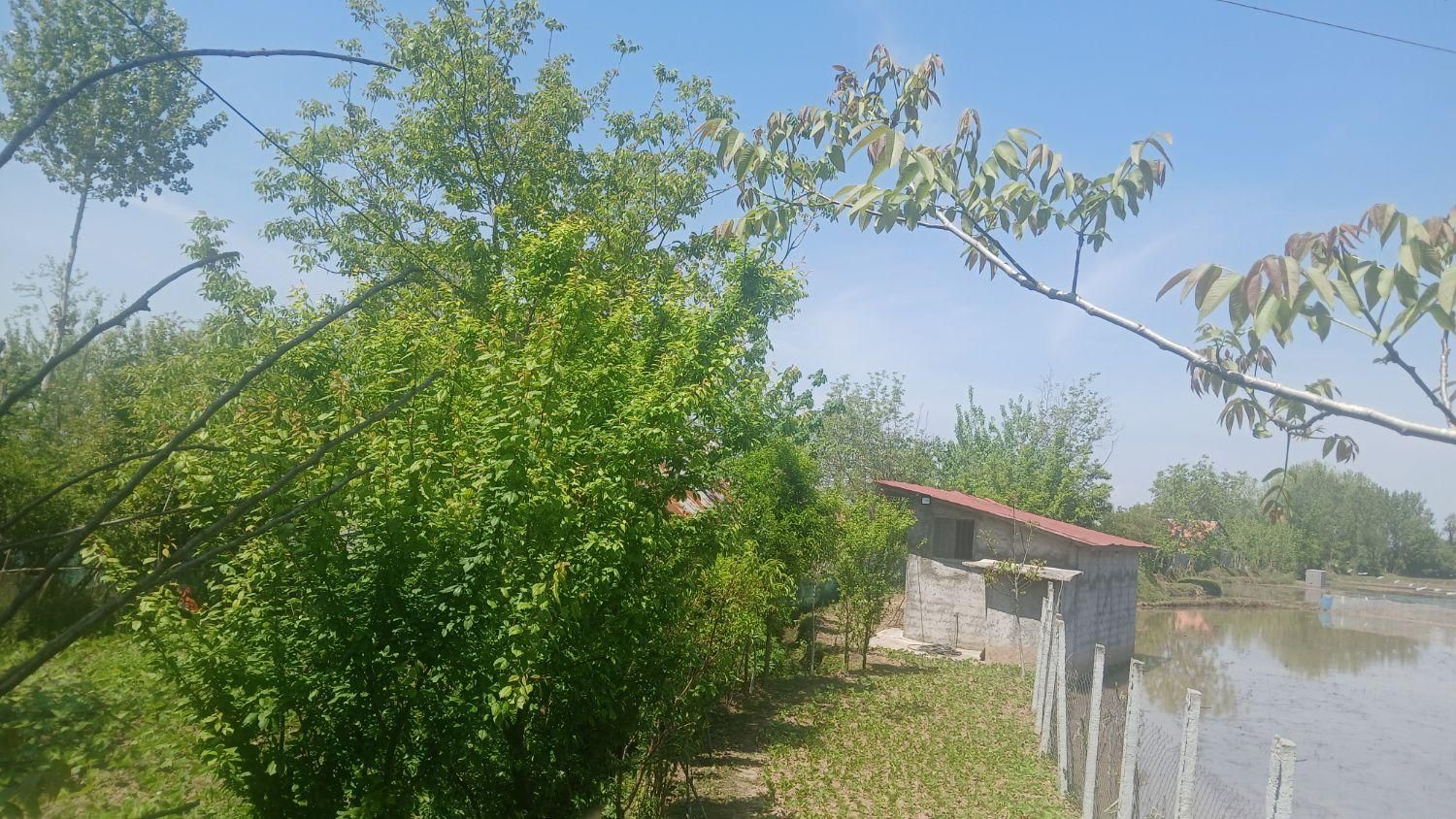 ۱۱۰۰۰هزارمترشالیزارومسکونی جای بکرسنگررشت|فروش زمین و ملک کلنگی|سنگر, |دیوار