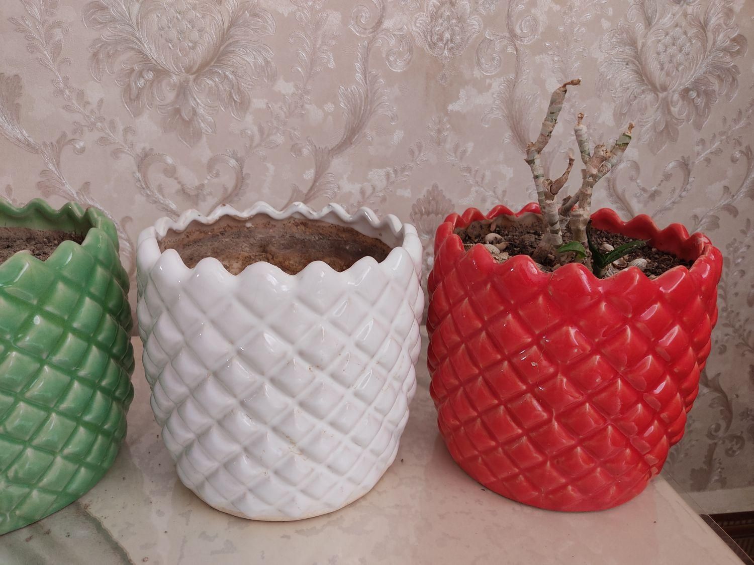 گلدان سفالی|گل و گیاه طبیعی|رباطکریم, شترخوار|دیوار