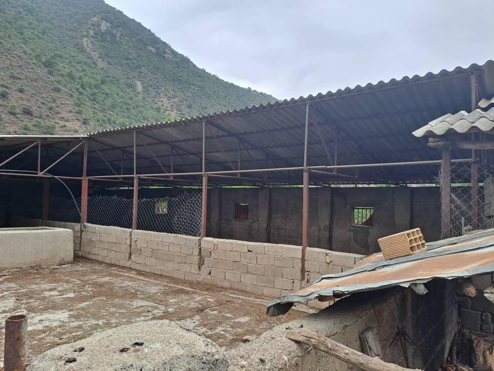 زمین باغی و دامداری مجوز دار|فروش دفتر صنعتی، کشاورزی، تجاری|گرگان, |دیوار