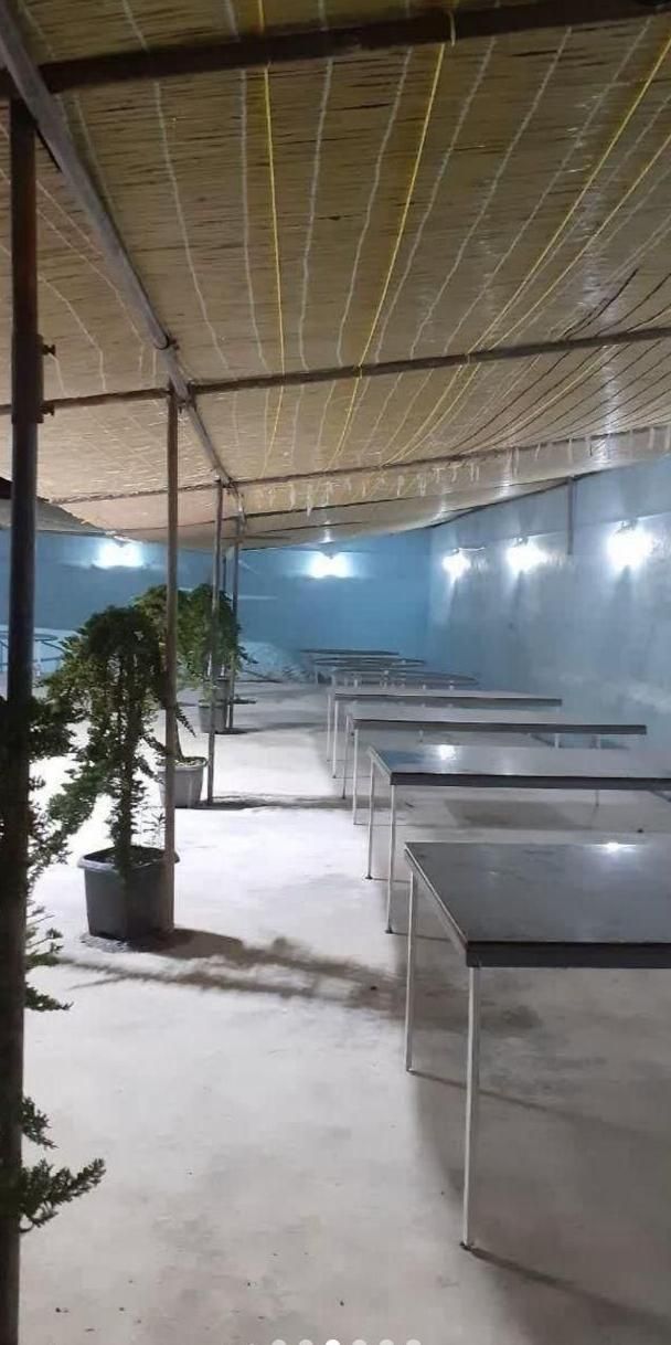 حصیر سنتی مناسب باغ ویلاوپنجره وتراس وپرده آلاچیق|صنایع دستی و سایر لوازم تزئینی|اراک, |دیوار