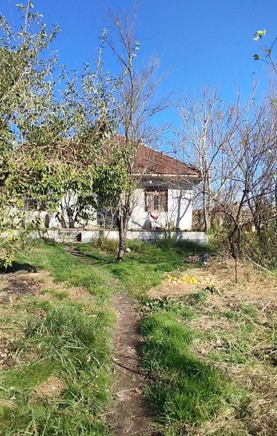 خانه محوطه با استخر ماهی به متراژ23000متر|فروش دفتر صنعتی، کشاورزی، تجاری|صومعهسرا, |دیوار