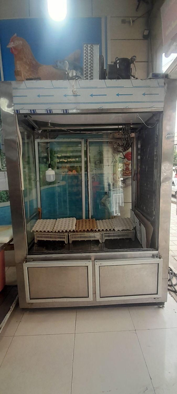 یخچال گوشت .|فروشگاه و مغازه|الوند, |دیوار