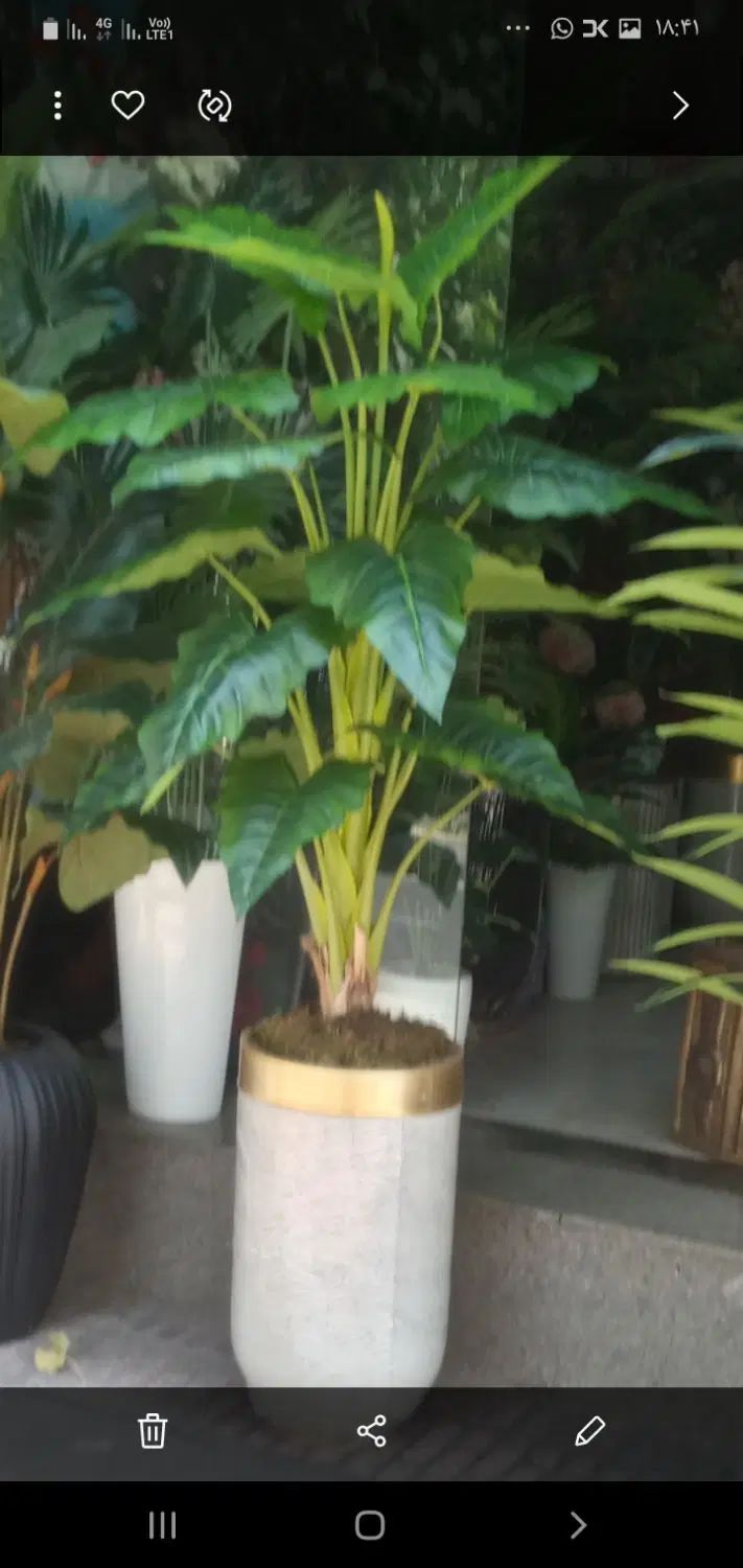 سه تنه درخچه|گل مصنوعی|تهران, مشیریه|دیوار