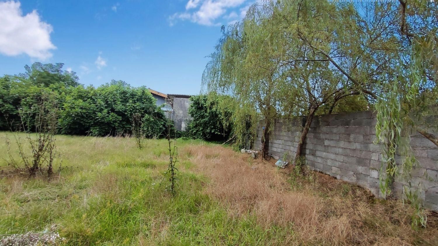 زمین مسکونی به مساحت ۷۸۰ متر ابتدای جاده فومن|فروش زمین و ملک کلنگی|رشت, پسیخان|دیوار