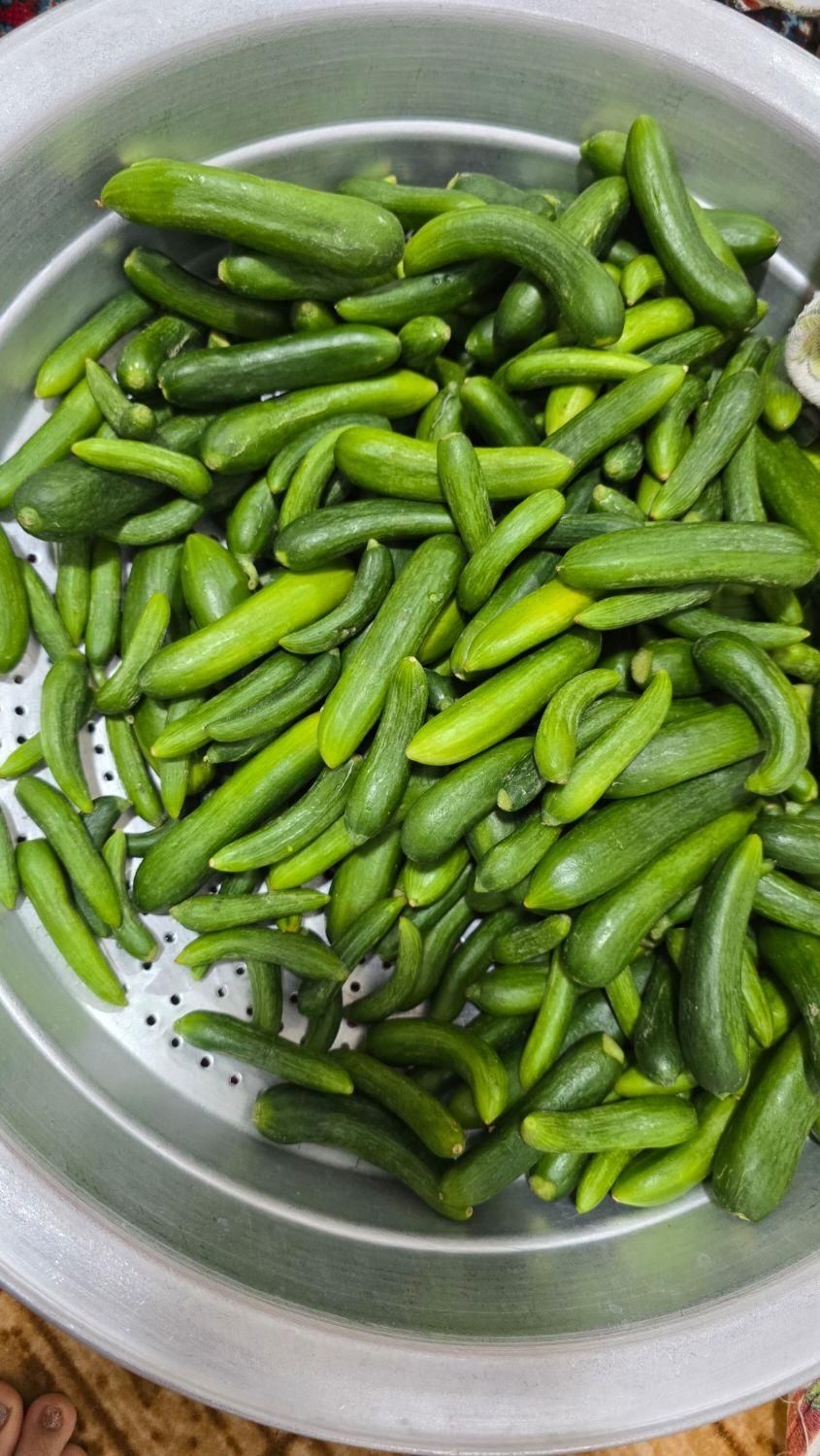 خیارشور خانگی ۴ لیتری|خوردنی و آشامیدنی|مرودشت, ده بید|دیوار
